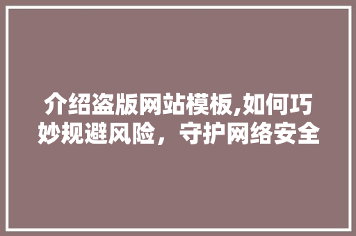 介绍盗版网站模板,如何巧妙规避风险，守护网络安全