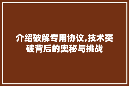 介绍破解专用协议,技术突破背后的奥秘与挑战