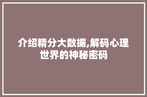 介绍精分大数据,解码心理世界的神秘密码