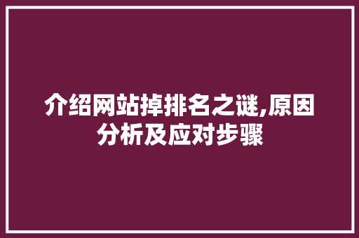 介绍网站掉排名之谜,原因分析及应对步骤