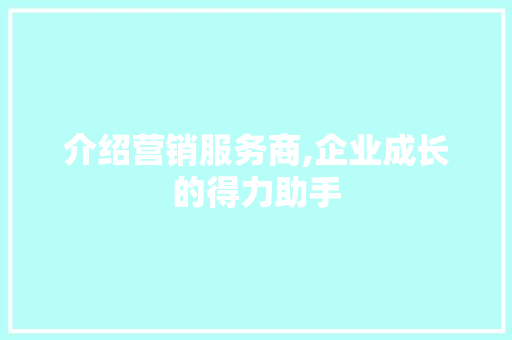 介绍营销服务商,企业成长的得力助手