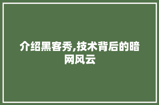 介绍黑客秀,技术背后的暗网风云