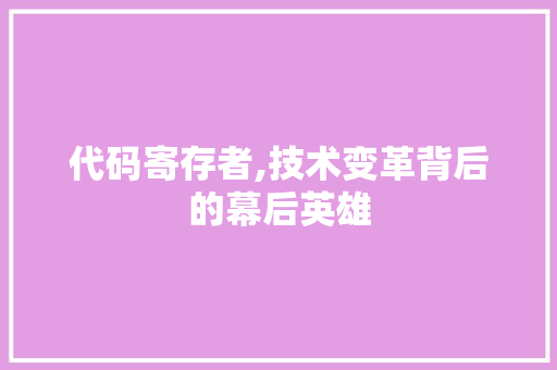 代码寄存者,技术变革背后的幕后英雄