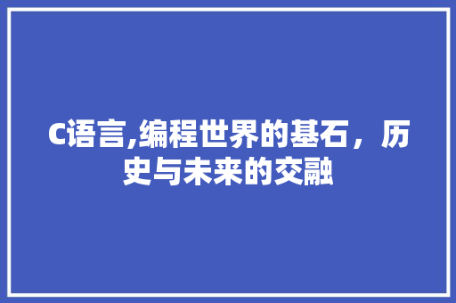C语言,编程世界的基石，历史与未来的交融