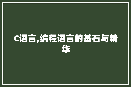 C语言,编程语言的基石与精华