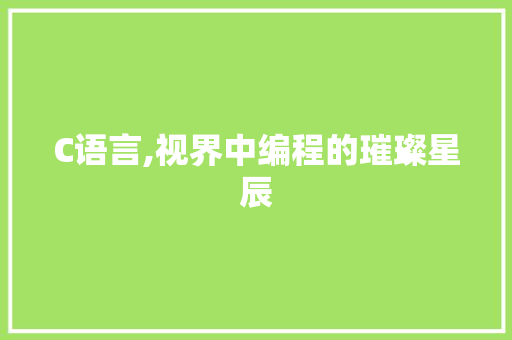C语言,视界中编程的璀璨星辰