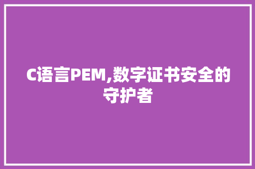 C语言PEM,数字证书安全的守护者