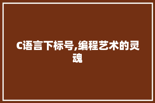C语言下标号,编程艺术的灵魂