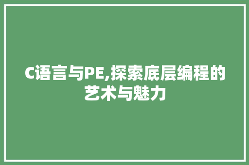 C语言与PE,探索底层编程的艺术与魅力