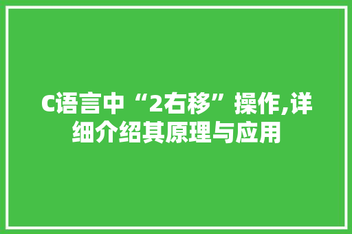 C语言中“2右移”操作,详细介绍其原理与应用