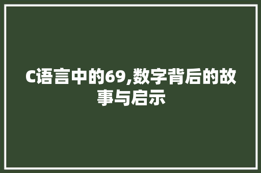 C语言中的69,数字背后的故事与启示