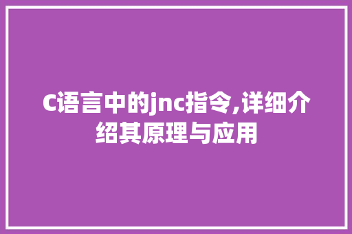 C语言中的jnc指令,详细介绍其原理与应用