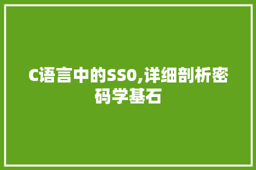 C语言中的SS0,详细剖析密码学基石