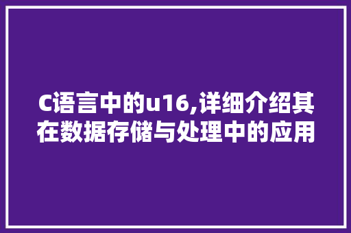 C语言中的u16,详细介绍其在数据存储与处理中的应用