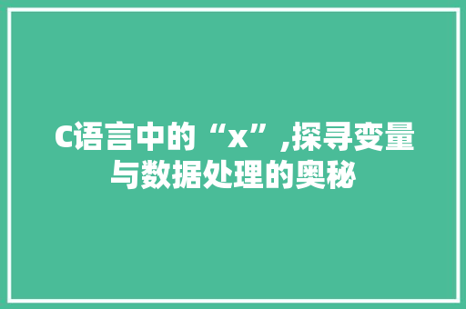C语言中的“x”,探寻变量与数据处理的奥秘
