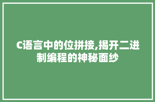 C语言中的位拼接,揭开二进制编程的神秘面纱