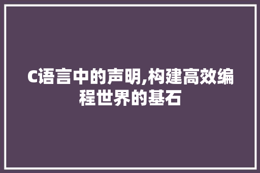C语言中的声明,构建高效编程世界的基石
