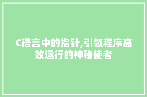 C语言中的指针,引领程序高效运行的神秘使者