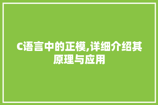 C语言中的正模,详细介绍其原理与应用