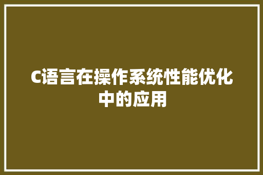 C语言在操作系统性能优化中的应用