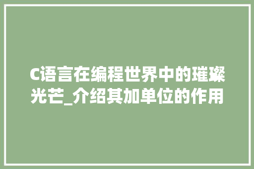 C语言在编程世界中的璀璨光芒_介绍其加单位的作用与魅力