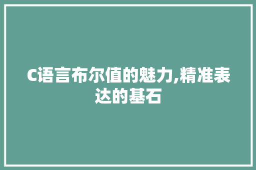 C语言布尔值的魅力,精准表达的基石