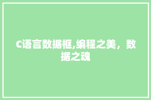 C语言数据框,编程之美，数据之魂