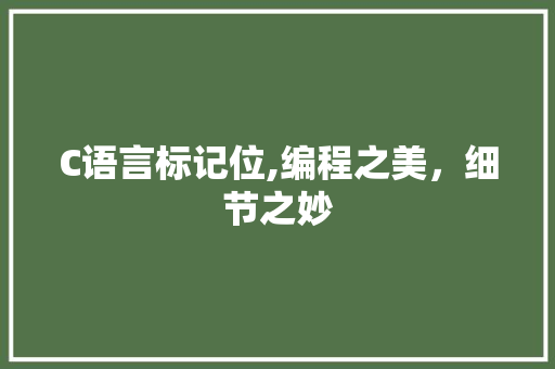 C语言标记位,编程之美，细节之妙
