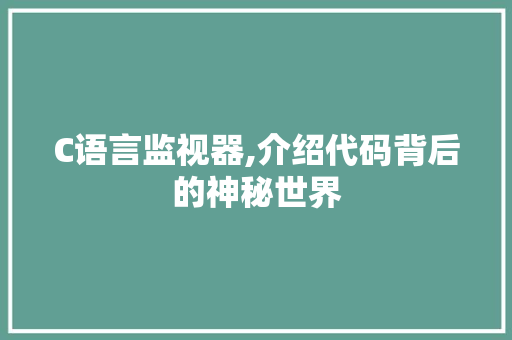 C语言监视器,介绍代码背后的神秘世界