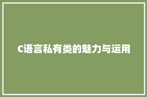 C语言私有类的魅力与运用