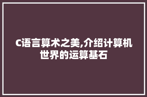 C语言算术之美,介绍计算机世界的运算基石