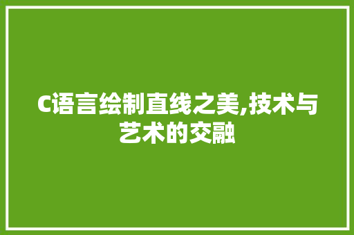 C语言绘制直线之美,技术与艺术的交融