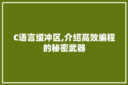 C语言缓冲区,介绍高效编程的秘密武器