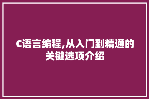 C语言编程,从入门到精通的关键选项介绍