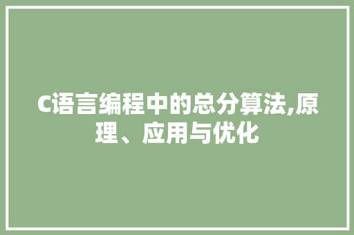 C语言编程中的总分算法,原理、应用与优化
