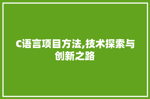 C语言项目方法,技术探索与创新之路