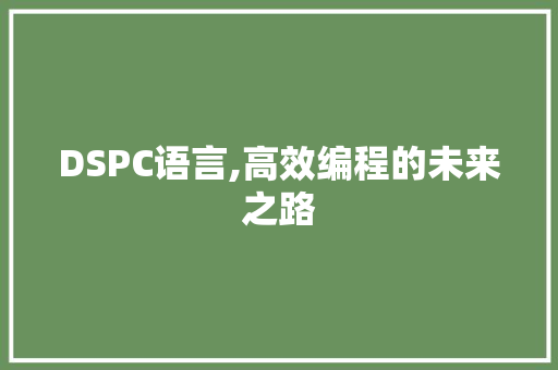 DSPC语言,高效编程的未来之路