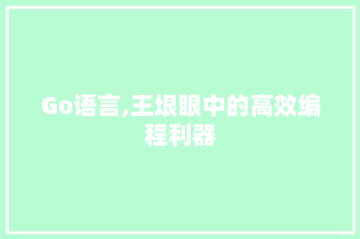 Go语言,王垠眼中的高效编程利器