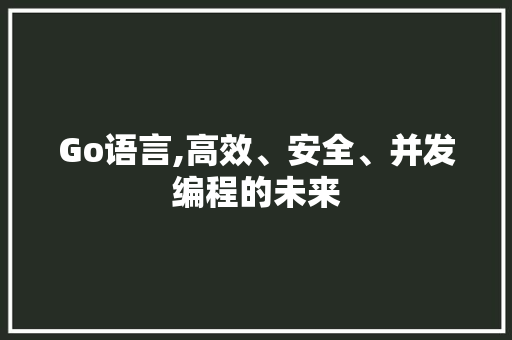 Go语言,高效、安全、并发编程的未来