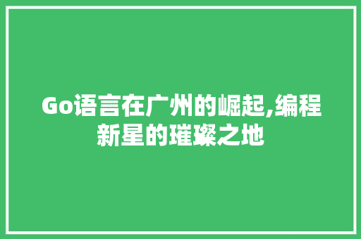 Go语言在广州的崛起,编程新星的璀璨之地