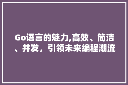 Go语言的魅力,高效、简洁、并发，引领未来编程潮流