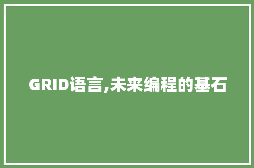 GRID语言,未来编程的基石