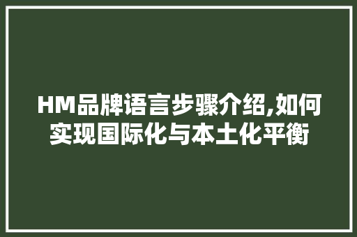 HM品牌语言步骤介绍,如何实现国际化与本土化平衡