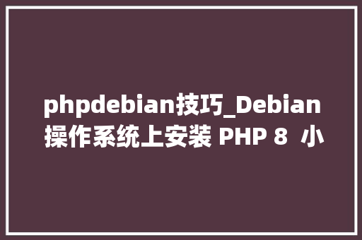 phpdebian技巧_Debian 操作系统上安装 PHP 8  小白入门教程