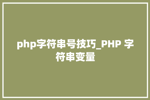 php字符串号技巧_PHP 字符串变量