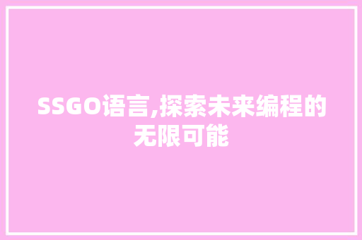 SSGO语言,探索未来编程的无限可能