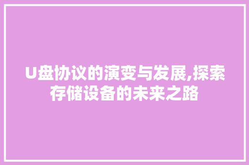 U盘协议的演变与发展,探索存储设备的未来之路