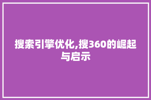 搜索引擎优化,搜360的崛起与启示