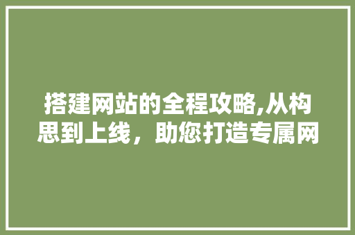 搭建网站的全程攻略,从构思到上线，助您打造专属网络空间