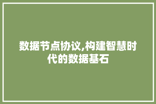 数据节点协议,构建智慧时代的数据基石